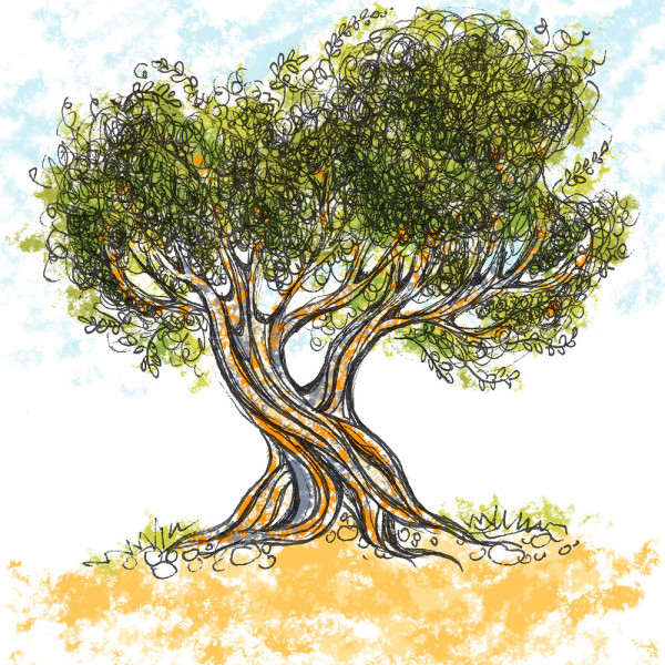 Olive Tree 1, ink drawing with digital color