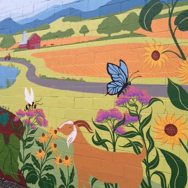 IX Art Park Mural, Charlottesville VA