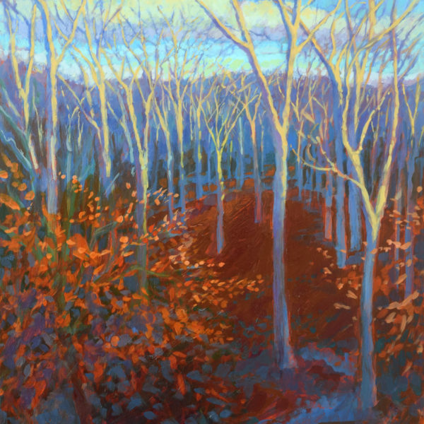 Winter Woods: Morning Light, acrylic on panel, 16 x 12 inches, 2017-019, SOLD