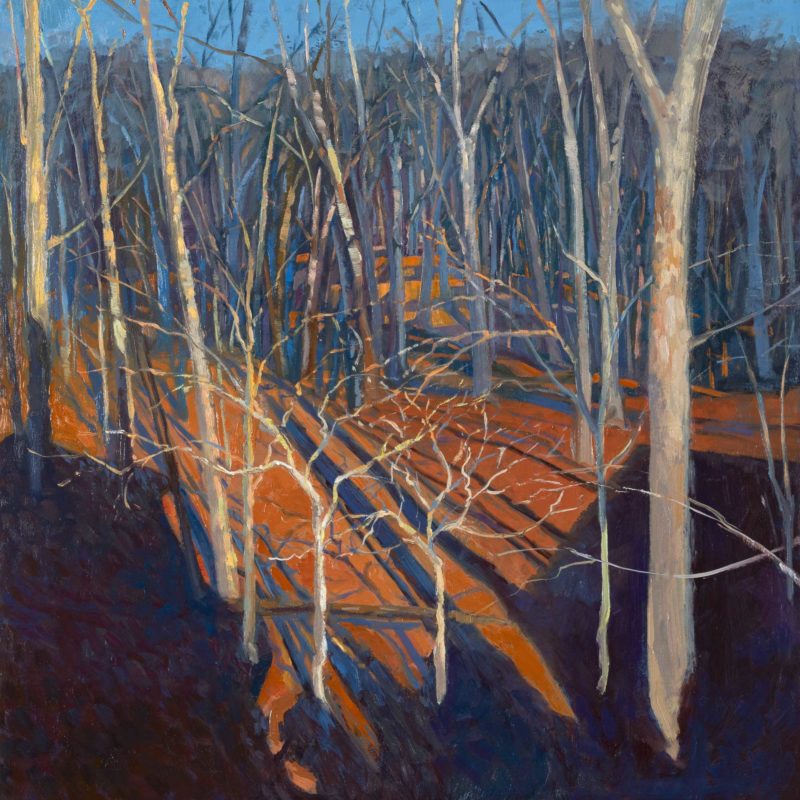 Winter Woods, oil on panel, 16 x 16 inches, 2021-003