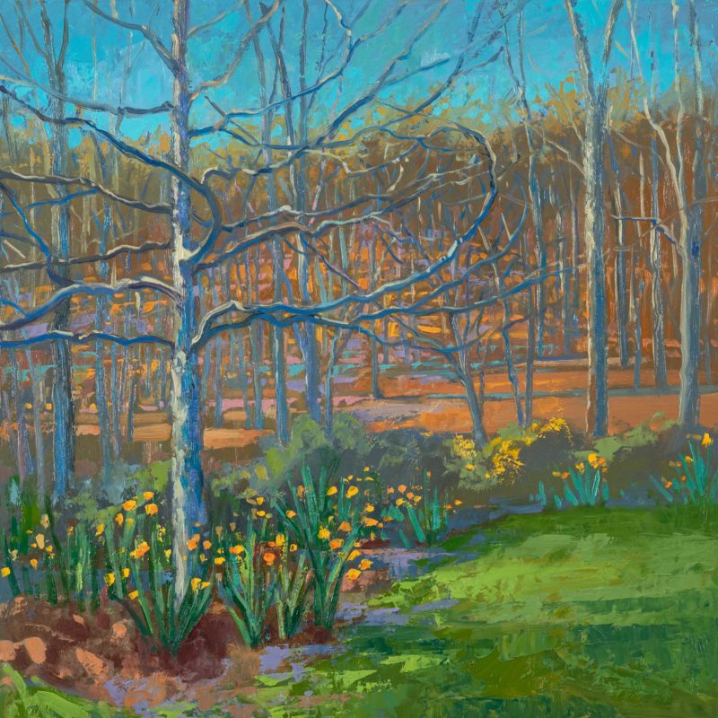 Black Gum with Daffodils, oil on panel, 16 x 16 inches, 2021-007
