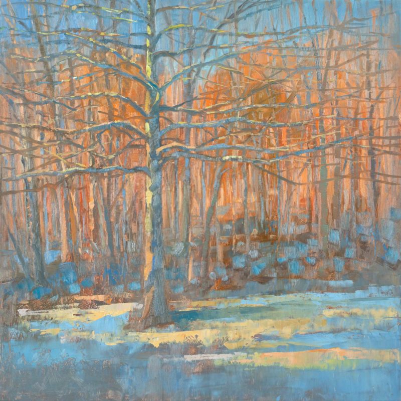 Black Gum in Winter, oil on panel, 16 x 16 inches, 2022-001