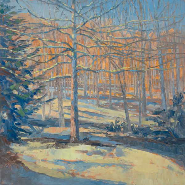 Black Gum in Winter, oil on panel, 16 x 16 inches, 2022-003