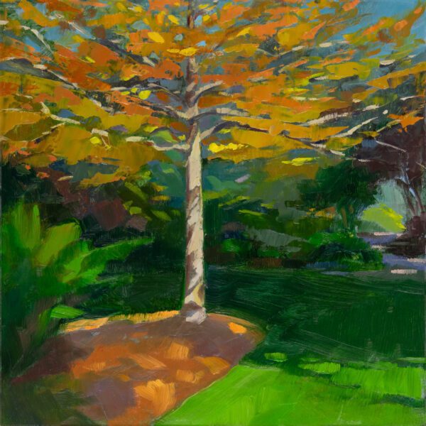 Black Gum: Early Fall, oil on panel, 8 x 8 inches, 2021-053
