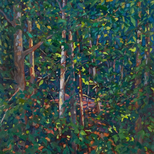 Sycamore Grove, oil on panel, 20 x 16, 2022, SOLD
