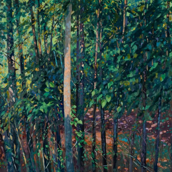 Sycamore Grove, oil on panel, 24 x 30, 2022, SOLD