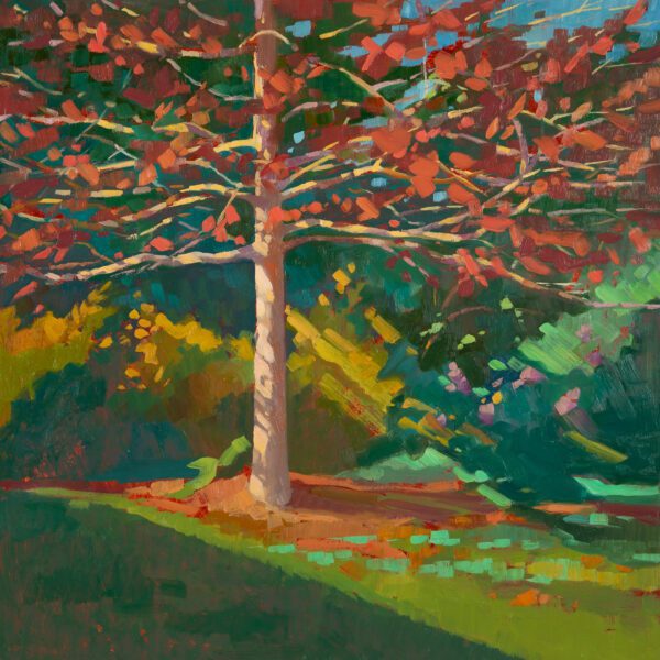 Black Gum: October, oil on panel, 16 x 16 inches, 2022-020