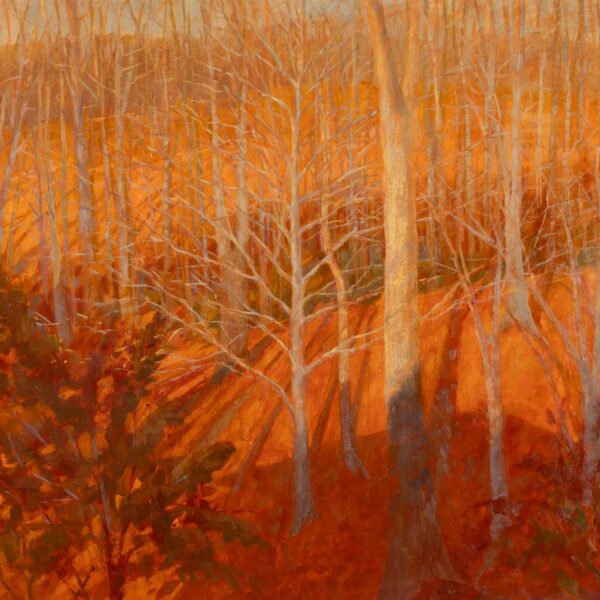 Winter Woods Morning Light, oil on panel, 24 x 30, 2022, SOLD