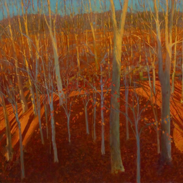 Winter Woods: House Shadow, oil on panel, 24 x 30, 2023, SOLD