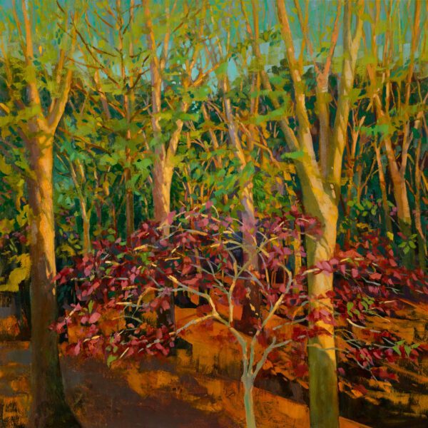 Spring Woods with Redbud, oil on panel, 24 x 24, 2023, SOLD