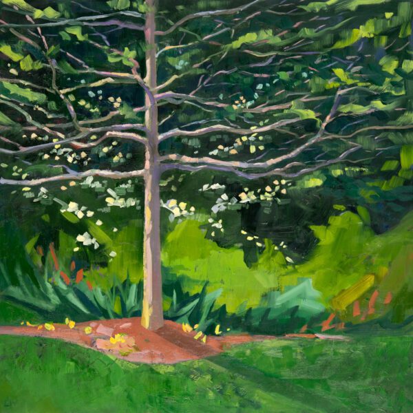 Black Gum with Spring Kousa, oil on panel, 16 x 16 inches, 2023-012