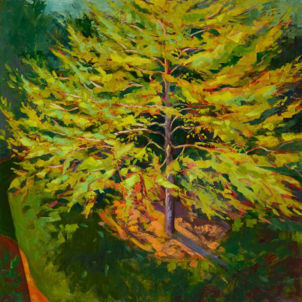 Black Gum: New Leaf, oil on panel, 16 x 16 inches, 2023-013