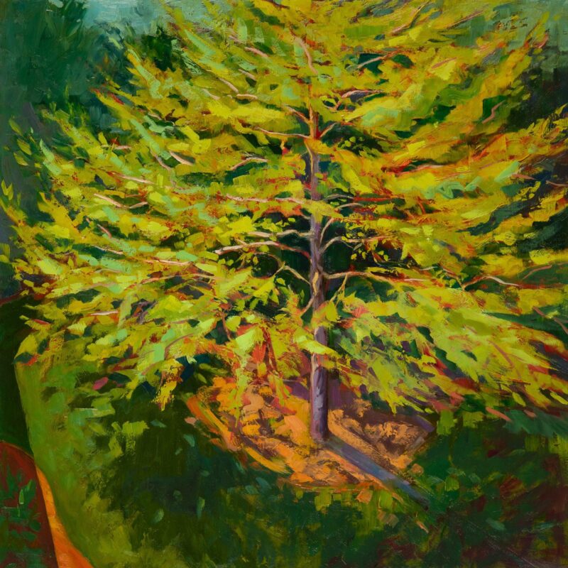 Black Gum: New Leaf, oil on panel, 16 x 16 inches, 2023-013